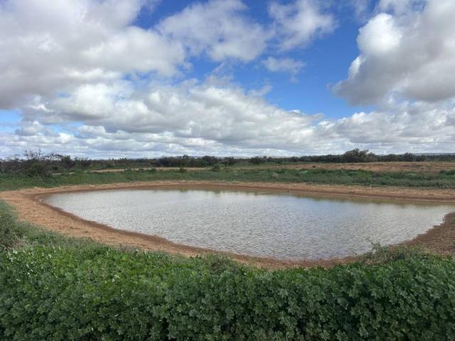 Land for sale in Orroroo, The District Council of Orroroo Carrieton