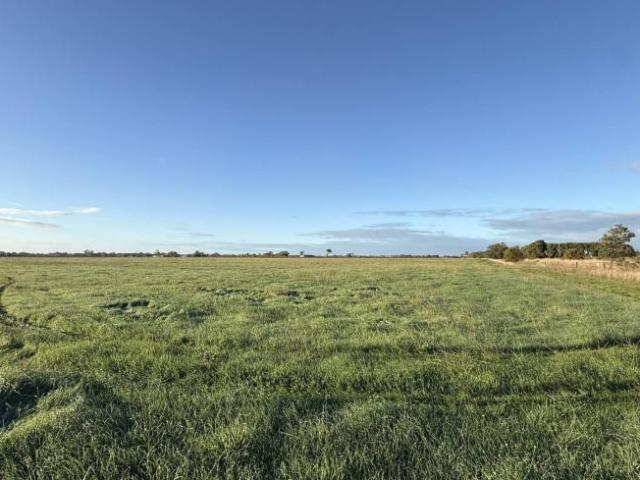 Land for rent in Comaum, South Australia