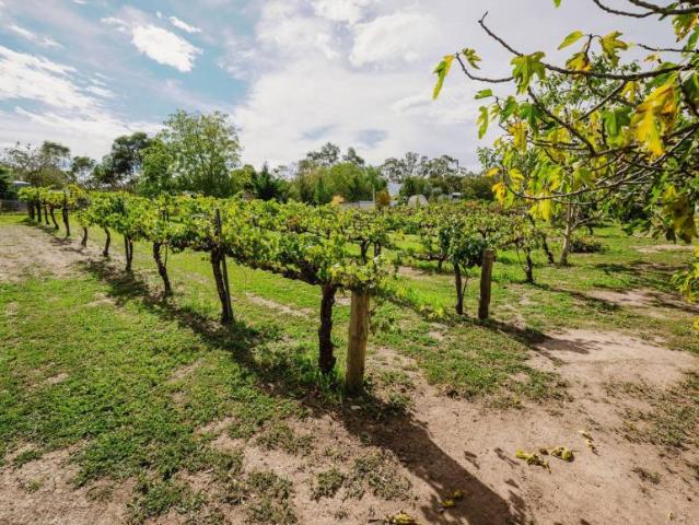 Land for sale in Penwortham, South Australia