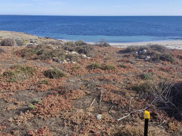 Land for sale in Port Lincoln, South Australia