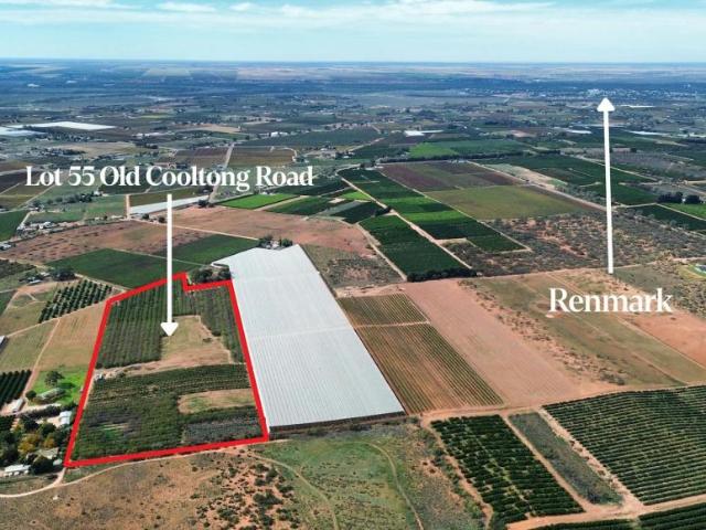 Land for sale in Renmark, Renmark Paringa Council