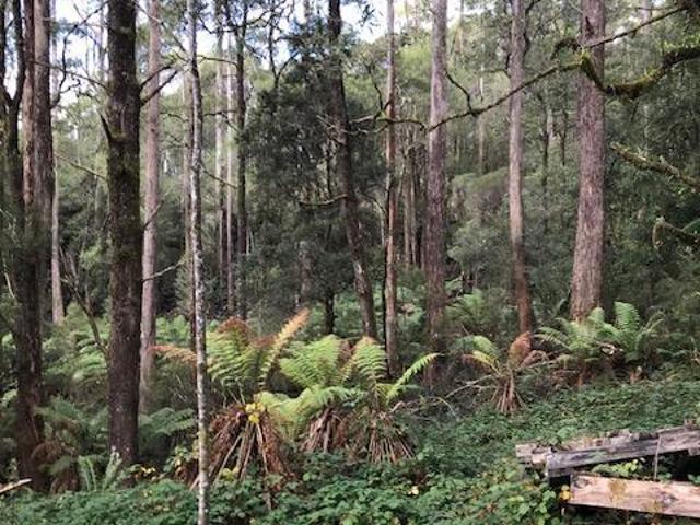 Land for sale in Rosebery, Tasmania