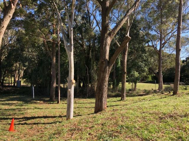 Land for sale in New South Wales