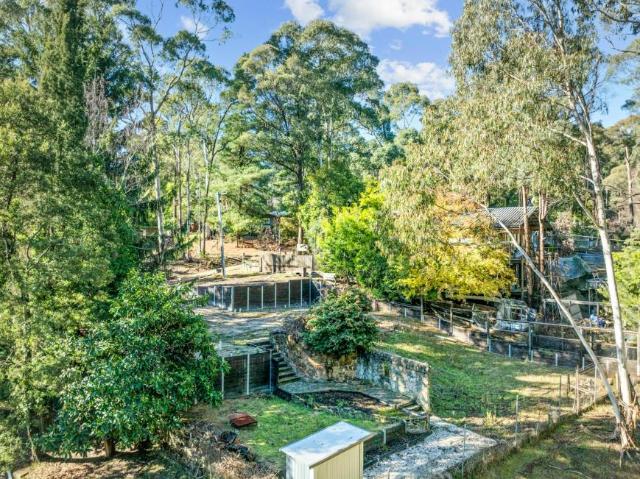 Land for sale in Sawmill Settlement