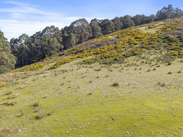 Land for sale in Snug, Hobart