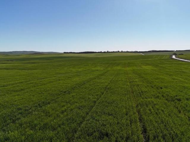 Land for sale in Spalding, Northern Areas Council