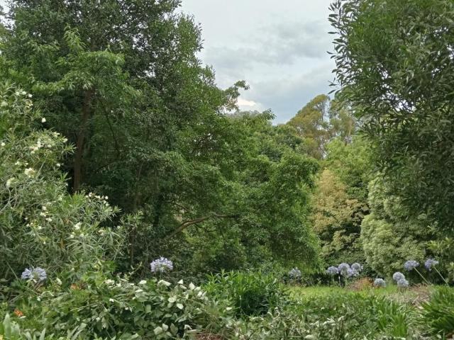 Land for sale in Camerons Creek, Victoria
