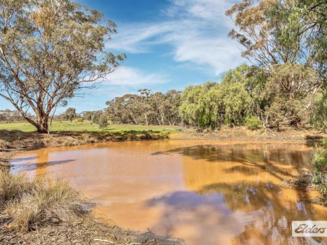 Land for sale in Wedderburn, Shire of Loddon