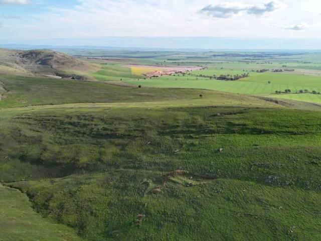 Land for sale in West Bundaleer, Northern Areas Council