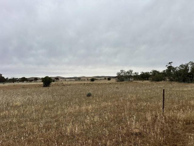 Land for sale in Goyder, South Australia