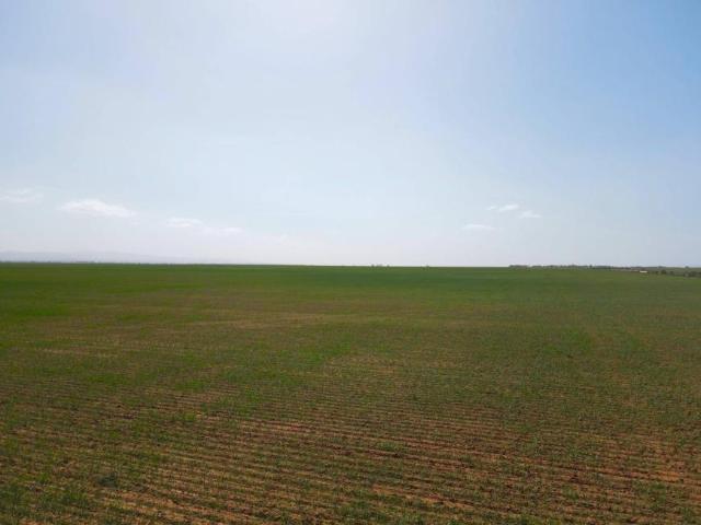 Land for sale in Willowie, South Australia