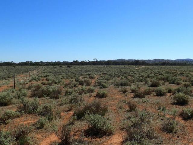 Land for sale in Goyder, South Australia