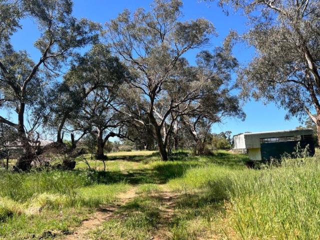 Land for sale in Yeoval, Cabonne Council