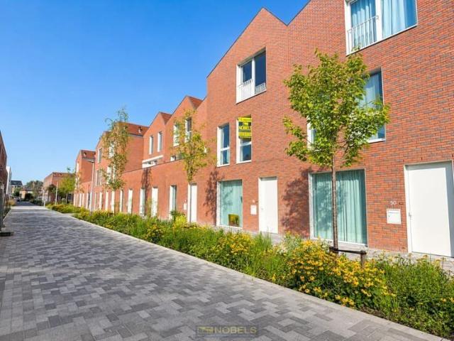 Maison location à Audenarde, Oost-Vlaanderen