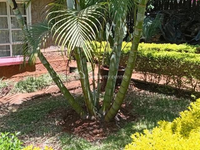 Commercial for rent in Kiambu, Nairobi