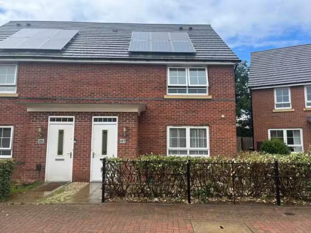 House for rent