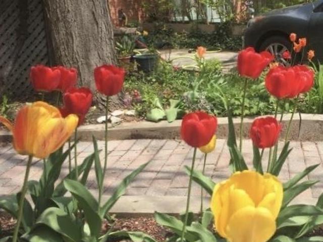Room for rent in Woburn, Ontario