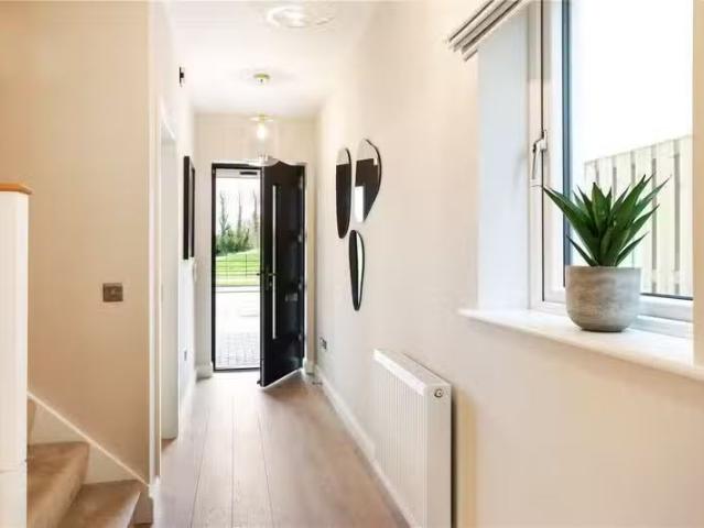 House to rent