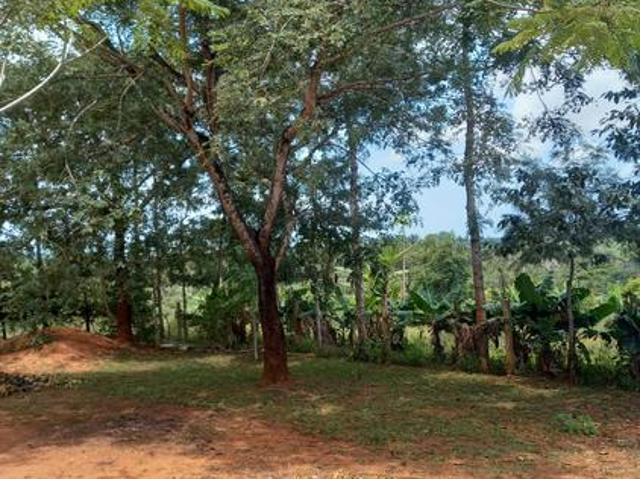 Land for sale