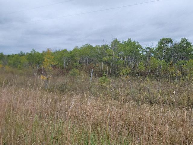 Land for sale in Stuartburn, Manitoba