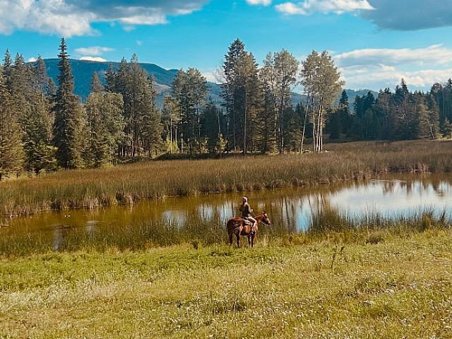 Land for sale in British Columbia