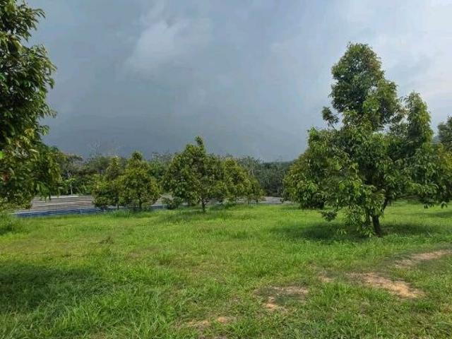 Property for sale in Taman Sri Sutera, Alor Gajah