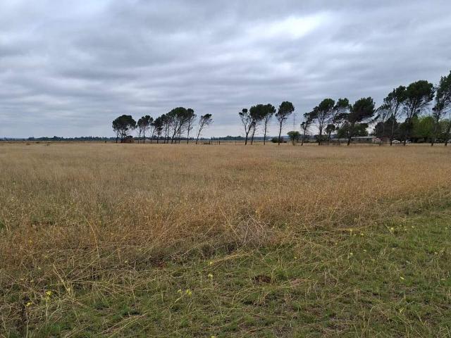 Land for sale in Bloemfontein, Free State