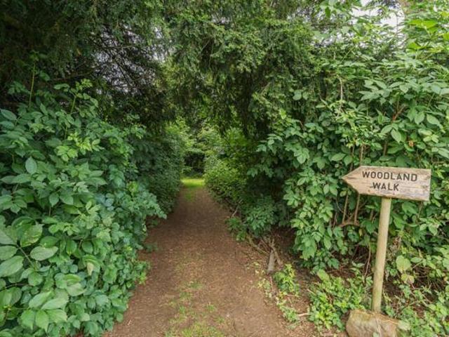 Room for sale in Cawston, New Bilton