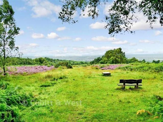 Bungalow for sale in Uckfield, Cross In Hand