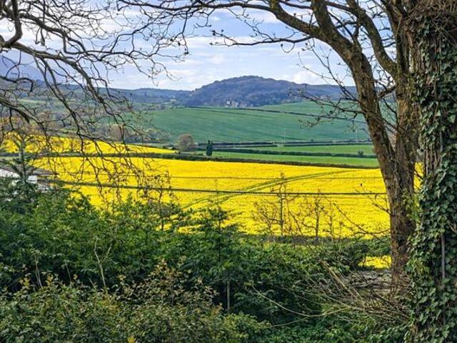 Bungalow for sale in Carhampton, Somerset