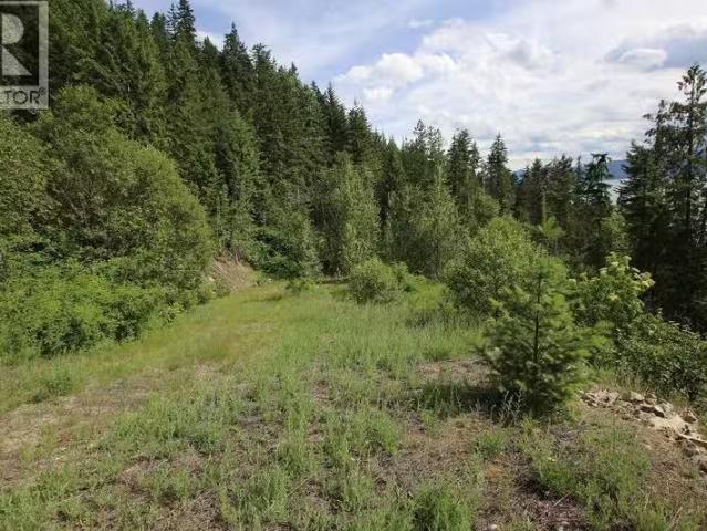 House for sale in Nakusp, British Columbia