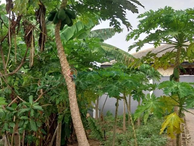 House for sale in Lagos, Abuja