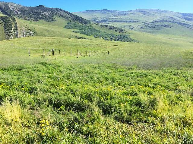 Land for sale in Pincher, Alberta