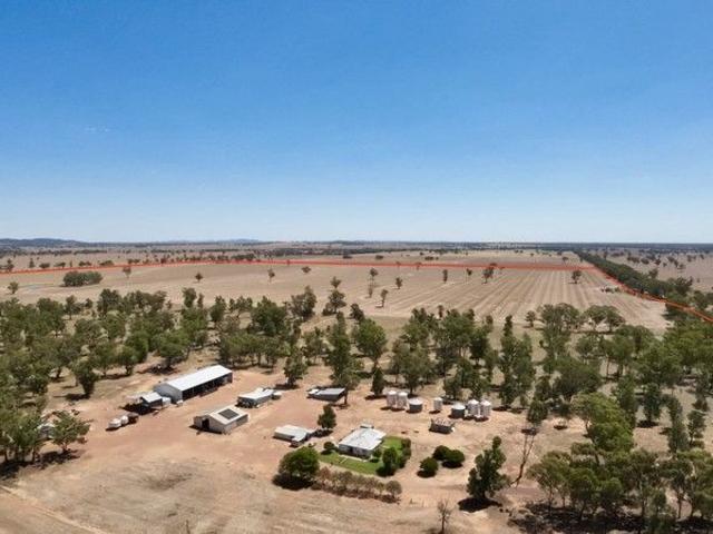 Property for sale in Bribbaree, New South Wales