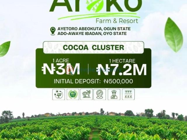 Land for sale in Ojo, Ibadan