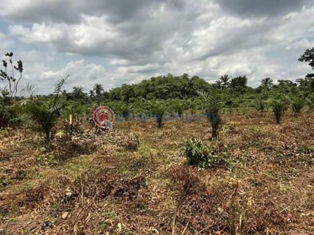 Land for sale in Obafemi Owode