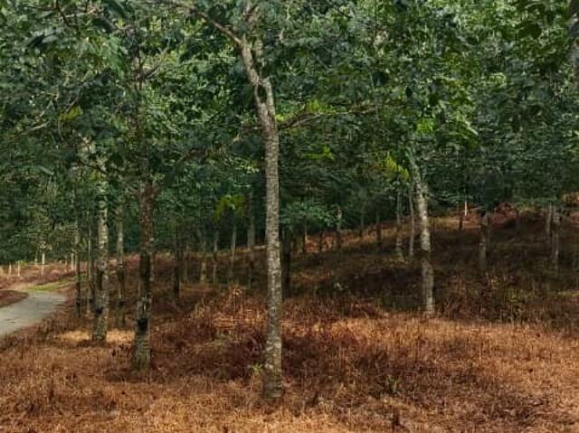 Property for sale in Durian Tunggal, Malaka