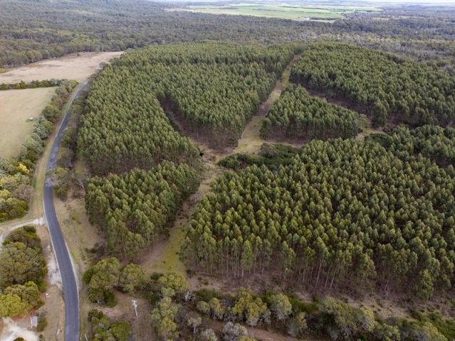 Land for sale in Gladstone, Tasmania