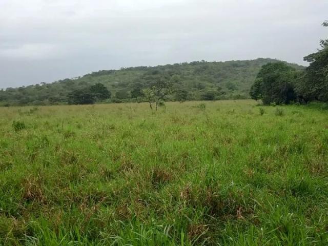 Terreno venta en Llano de Catival, Santiago