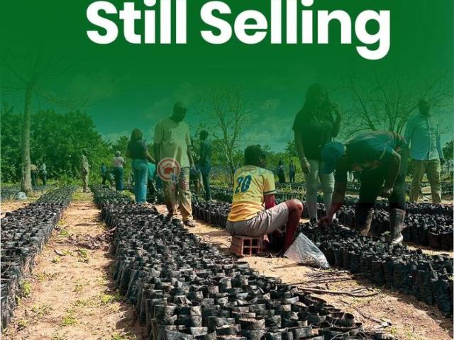 Land for sale in Abeokuta South, Ogun