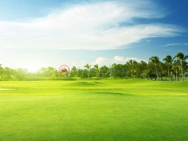Land for sale in Surulere