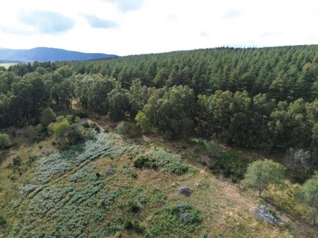 Land for sale in Skye Of Curr, Scotland