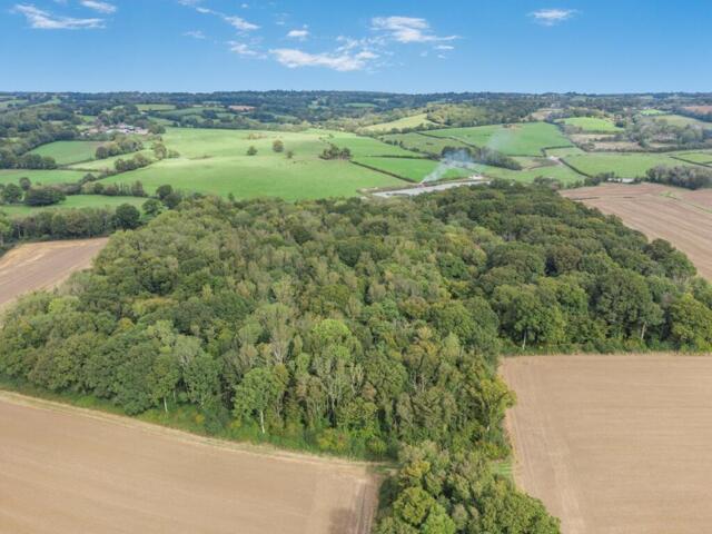 Land for sale in Sandown Park, Kent
