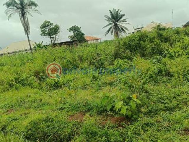 Land for sale in Asaba