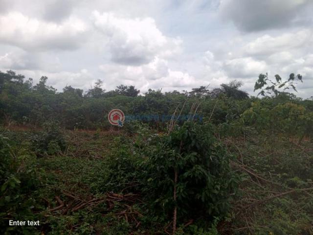 Land for sale in Ikorodu, Lagos