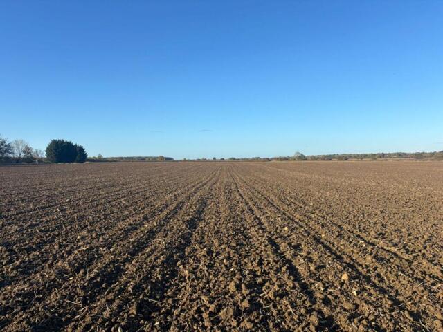 Land for sale in Ingleby, Lincolnshire
