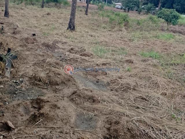 Land for sale in Enugu