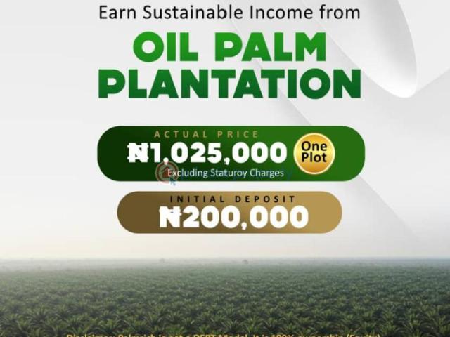 Land for sale in Ado-Odo Ota, Ogun