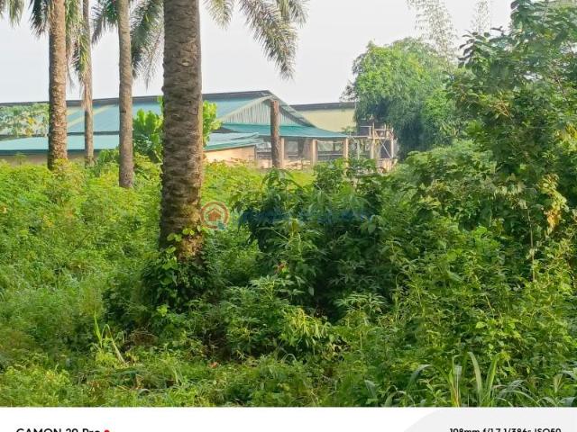 Land for sale in Owerri