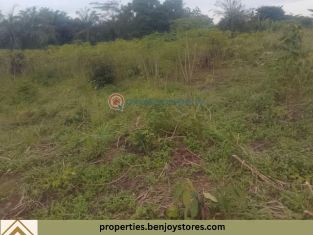 Land for sale in Benin, Edo